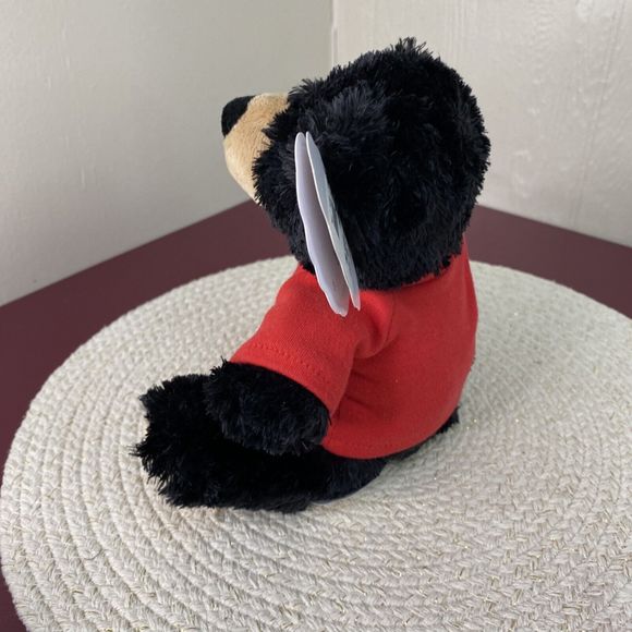 Wishpets US Denver Mint Collectible Plush Bear NWT Very Soft 2005 - Picture 2 of 6